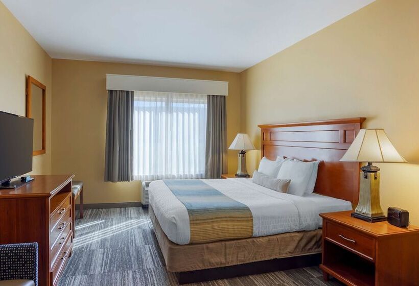 Люкс, Best Western Plus University Park Inn & Suites