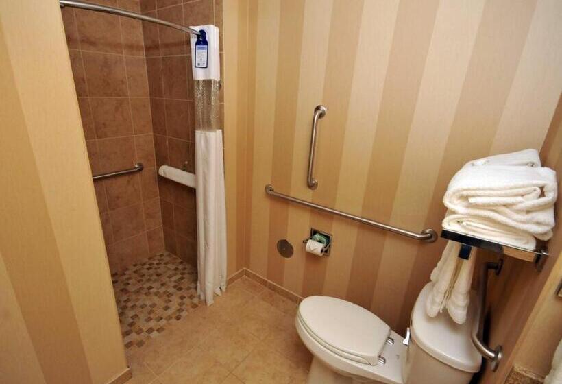 اتاق استاندارد با تخت بزرگ برای معلولان, Best Western Plus University Park Inn & Suites