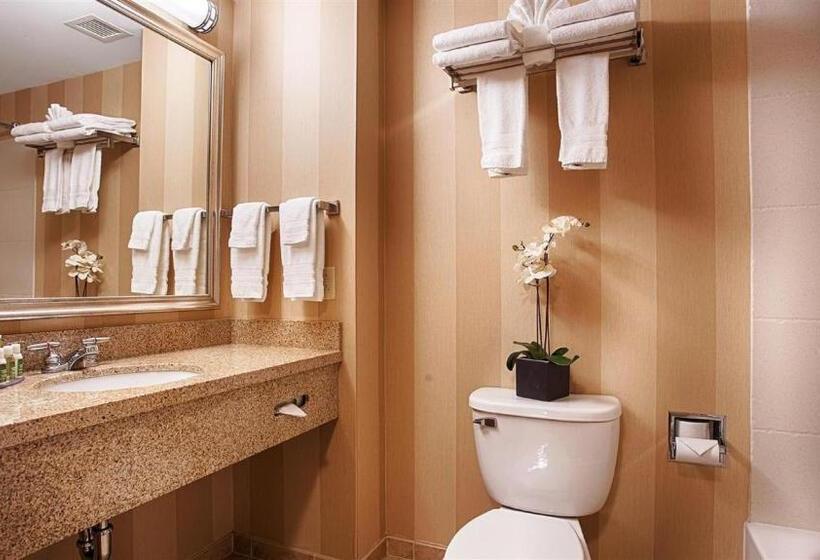 اتاق استاندارد با تخت بزرگ برای معلولان, Best Western Plus University Park Inn & Suites