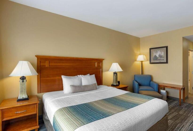 Номер Стандарт Кровать Кинг Адаптированный для Инвалидов, Best Western Plus University Park Inn & Suites