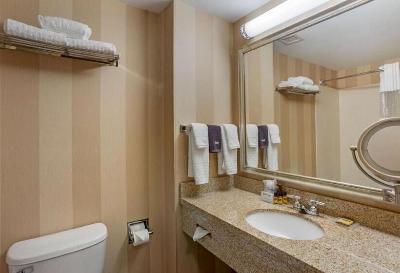 اتاق استاندارد با تخت بزرگ برای معلولان, Best Western Plus University Park Inn & Suites