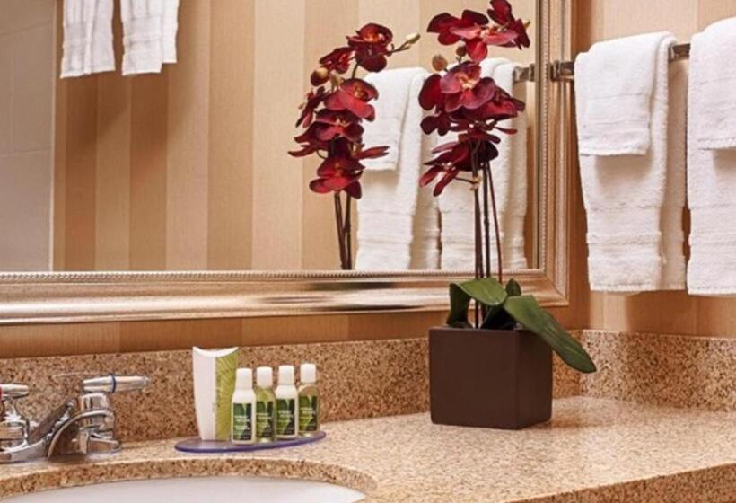 سوئیت با تخت بزرگ, Best Western Plus University Park Inn & Suites