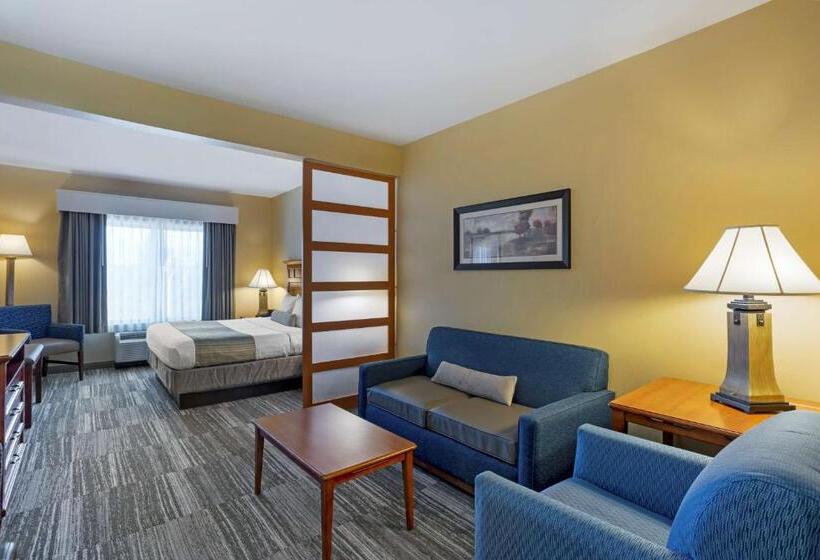 سوئیت با تخت بزرگ, Best Western Plus University Park Inn & Suites
