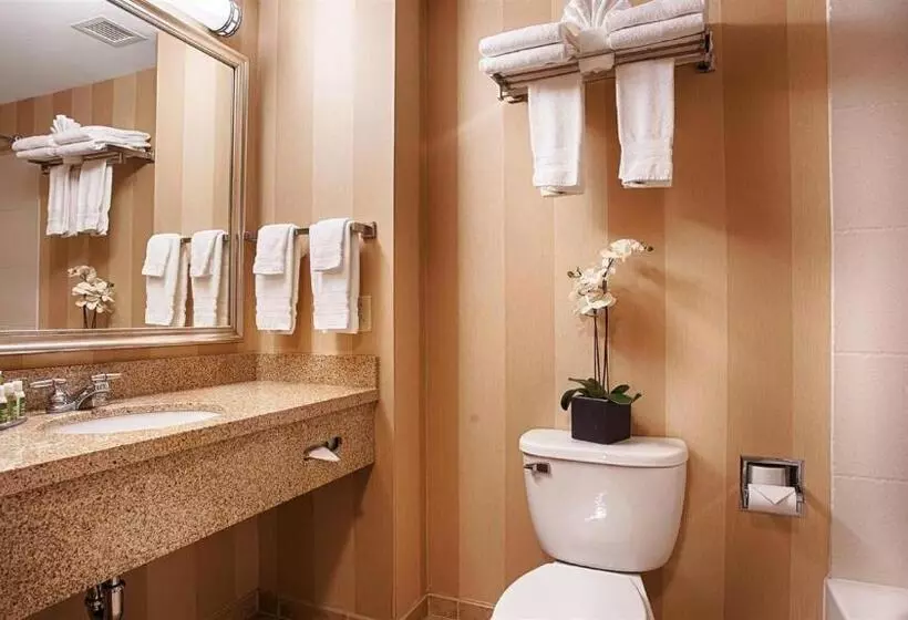 身障者適用スイートルーム, Best Western Plus University Park Inn & Suites