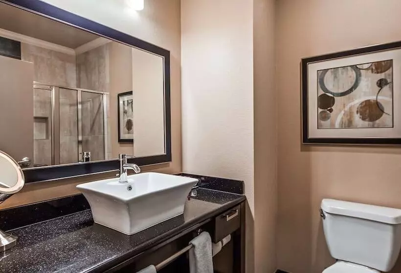 身障者適用スイートルーム, Best Western Premier Crown Chase Inn & Suites