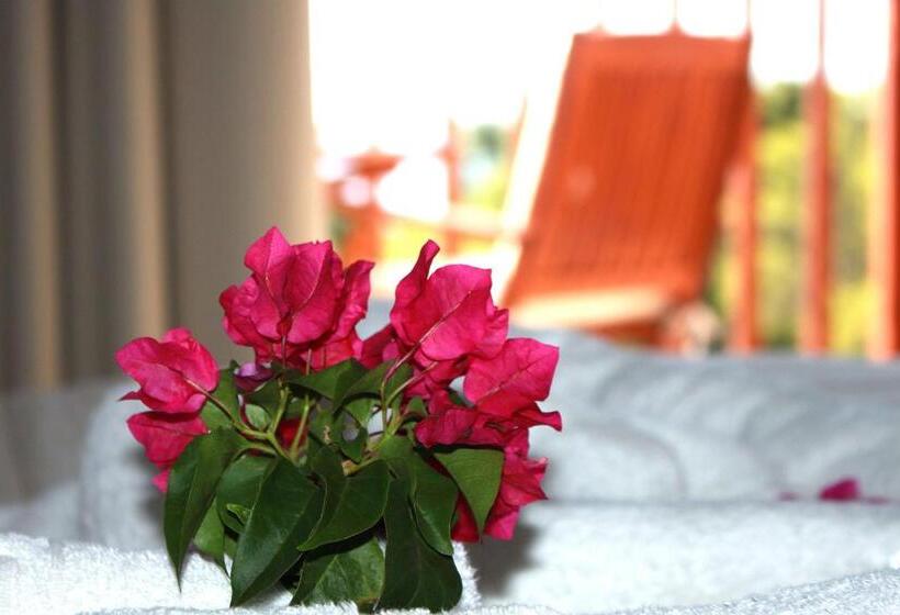 エコノミールーム, Magic