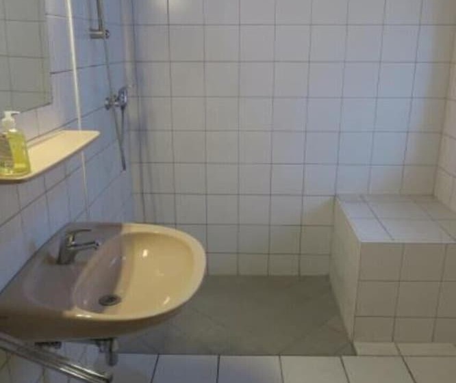 Säng i Delat Rum, Snowbunnys Backpackers Hostel