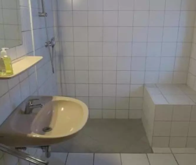 تختخواب در اتاق مشترک, Snowbunnys Backpackers Hostel