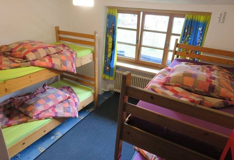 Säng i Delat Rum, Snowbunnys Backpackers Hostel