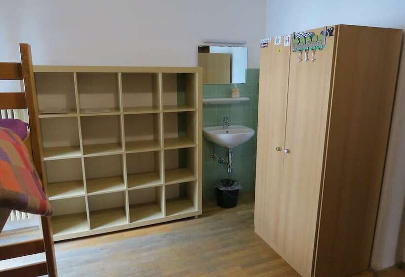 Säng i Delat Rum, Snowbunnys Backpackers Hostel