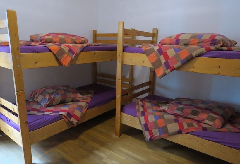 تختخواب در اتاق مشترک, Snowbunnys Backpackers Hostel