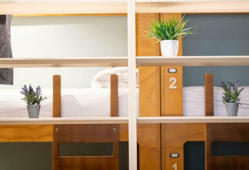 تختخواب در اتاق مشترک, La Banda Rooftop Hostel