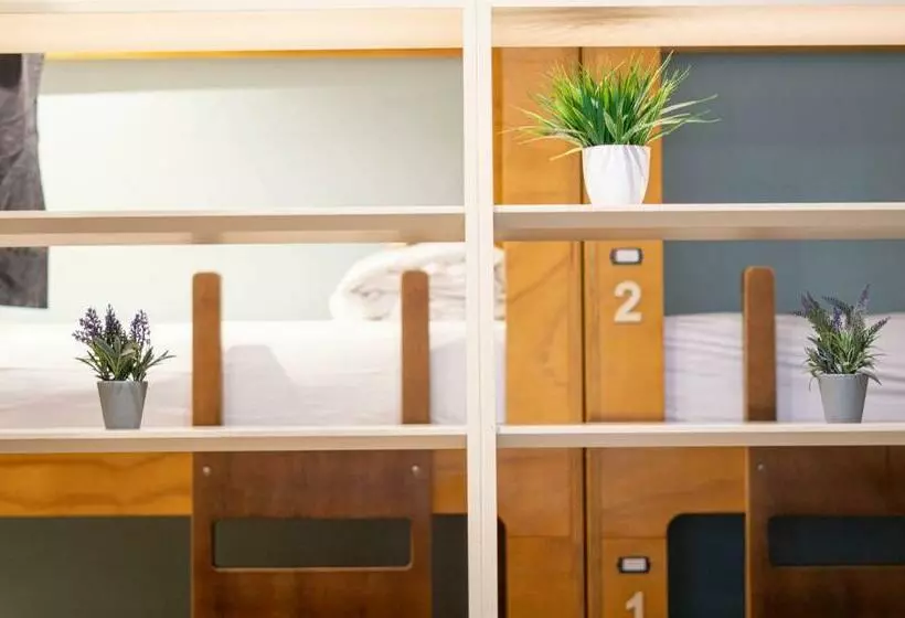 تختخواب در اتاق مشترک, La Banda Rooftop Hostel