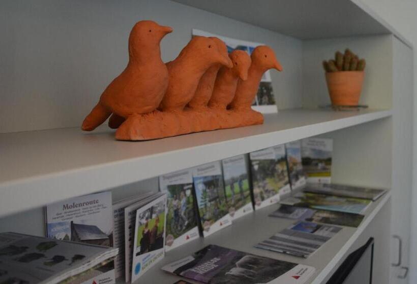 キングサイズベッドのデラックスルーム, B&b Altijd Zomer