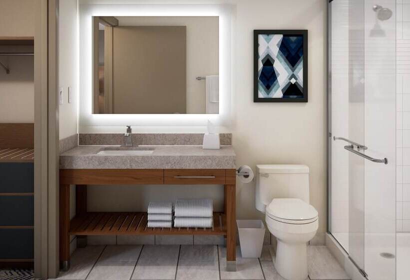 标准工作室, Candlewood Suites   Columbia, An Ihg