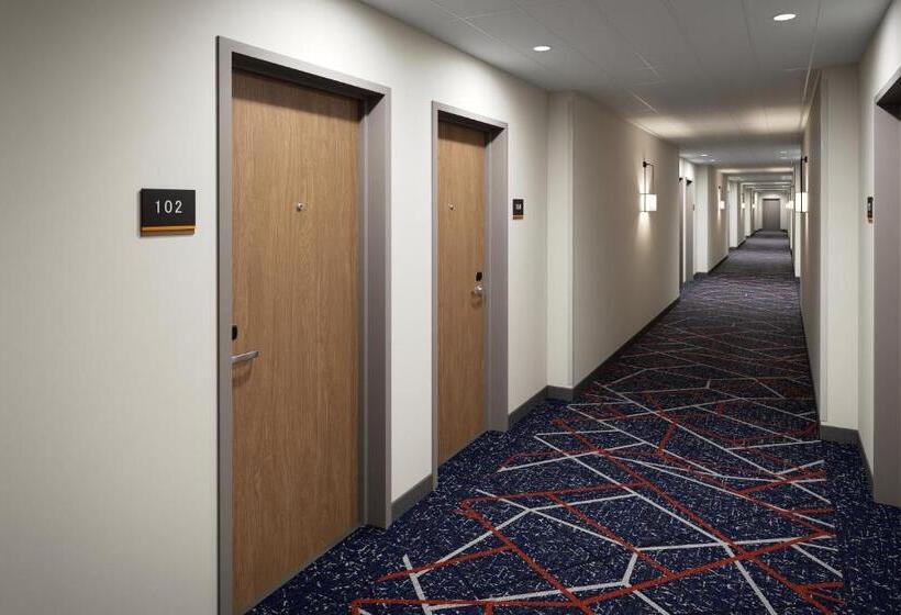 带大床的套房, Candlewood Suites   Columbia, An Ihg
