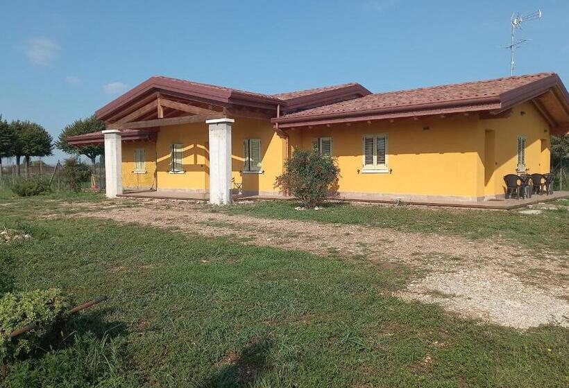 استودیو استاندارد با چشم‌انداز باغ, Mazzi House Garden