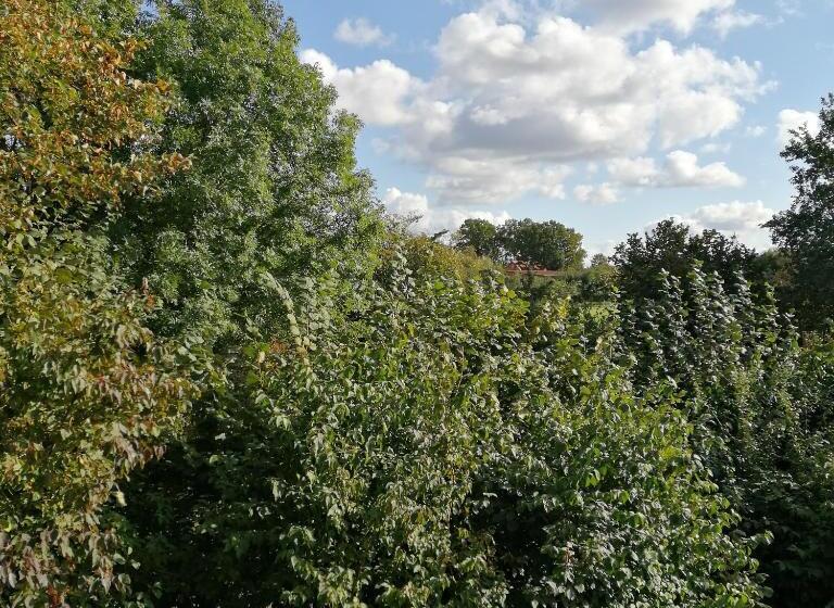 Номер Стандарт Совместная Ванная, Auerandzimmer