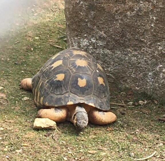 Standard room with outdoor bath, « chez Annie »