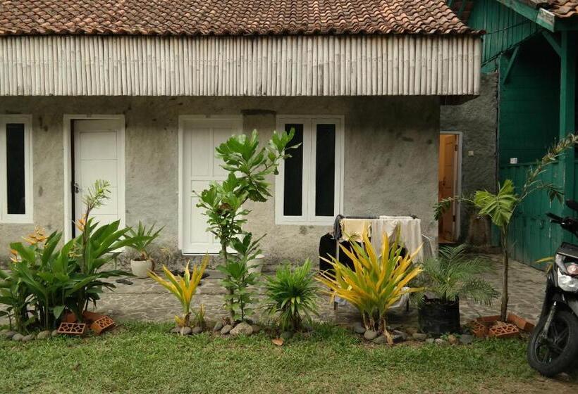 غرفة قياسية, Cabana Surf And Stay