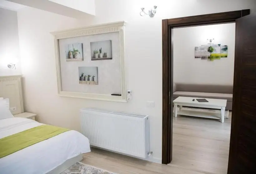 テラス付き１ベッドルームアパートメント, Imperial Hotel&spa   Baile Olanesti
