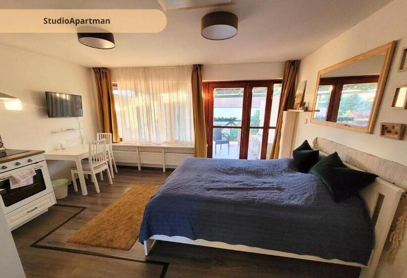 スタンダードスタジオ, Tulip Home Guest House