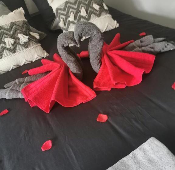 标准间带漩涡浴缸, Jacuhomespa13