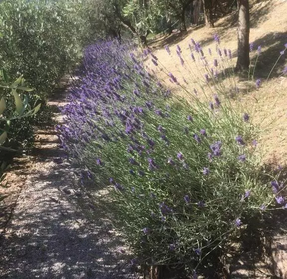 اتاق استاندارد, B&b Le Terrazze