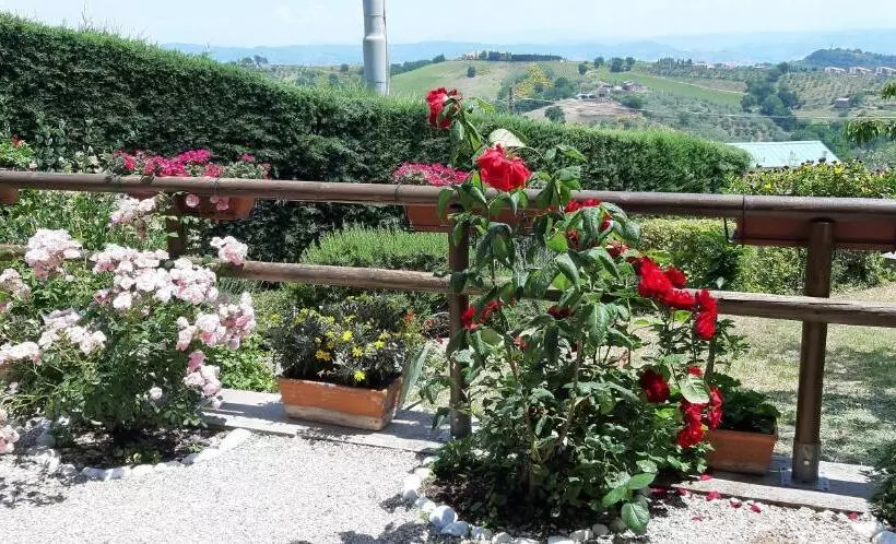 اتاق استاندارد, B&b Le Terrazze