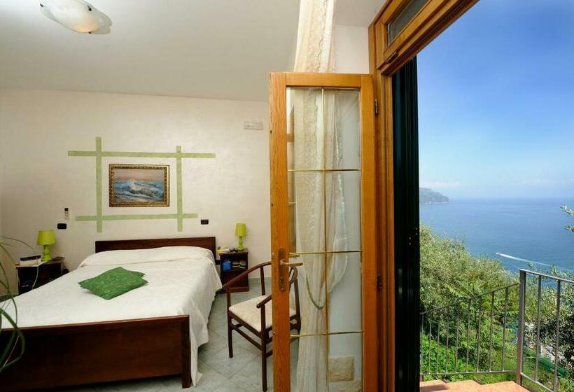 스탠다드 룸, H.h.le Palme