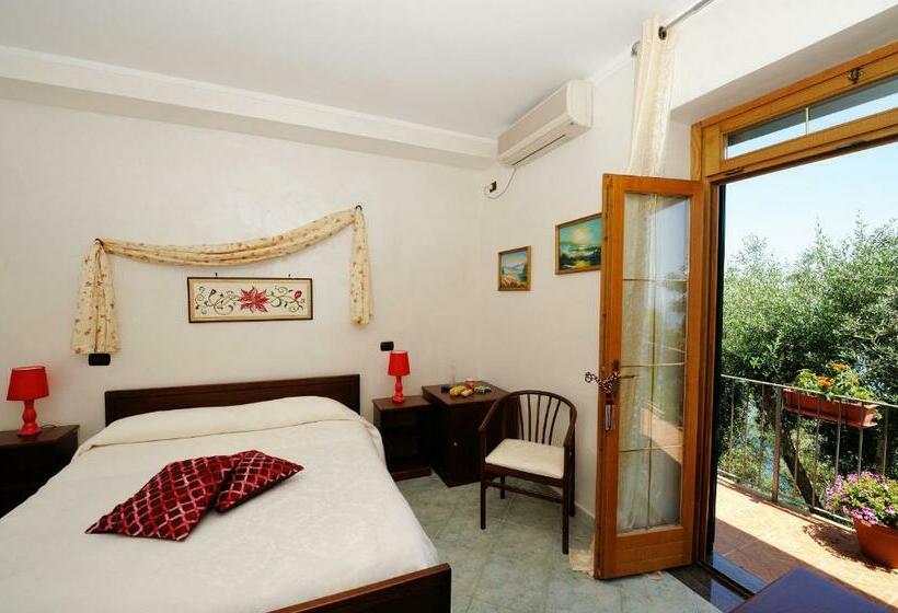 스탠다드 룸, H.h.le Palme