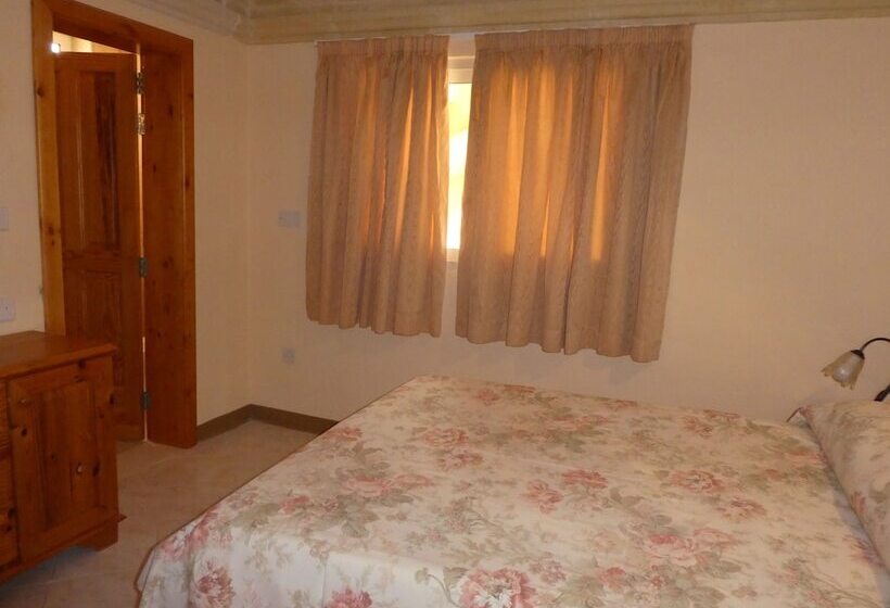 اتاق اکونومی, San Antonio Guesthouse