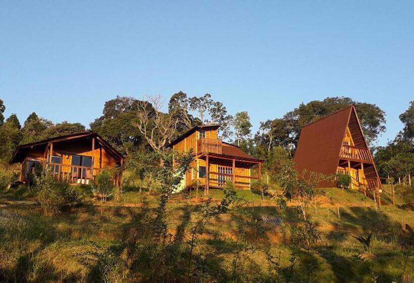 标准间, Chales Bem Me Quer