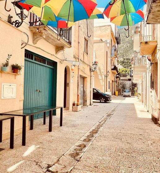 Номер Стандарт, Macchia Mediterranea