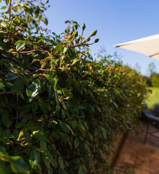 高级套房, Casabianca Resort