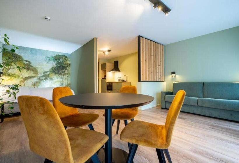 带1个卧室的豪华公寓, Appart Hôtel En Ville