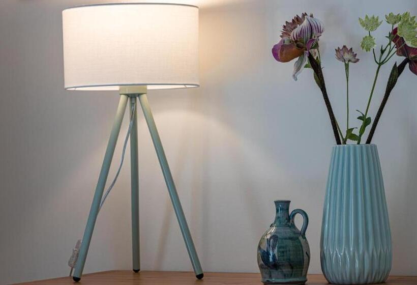 غرفة أساسية, Les Chambres Du Lavoir Vert