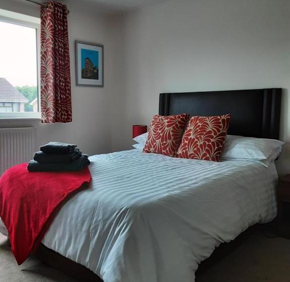 Номер Deluxe, Snoozefrome