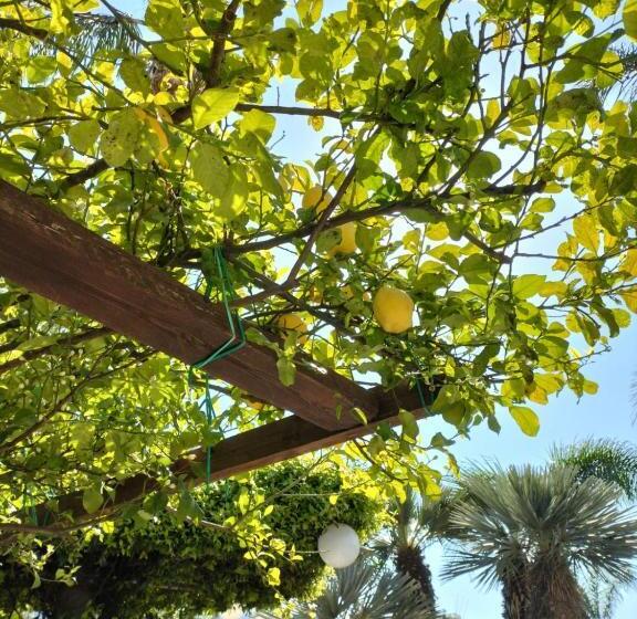 디럭스 룸, Tettoeletto