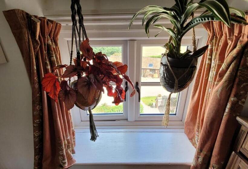 스탠다드 룸 가든 전망, Art House B & B