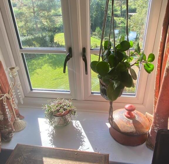 스탠다드 룸 가든 전망, Art House B & B