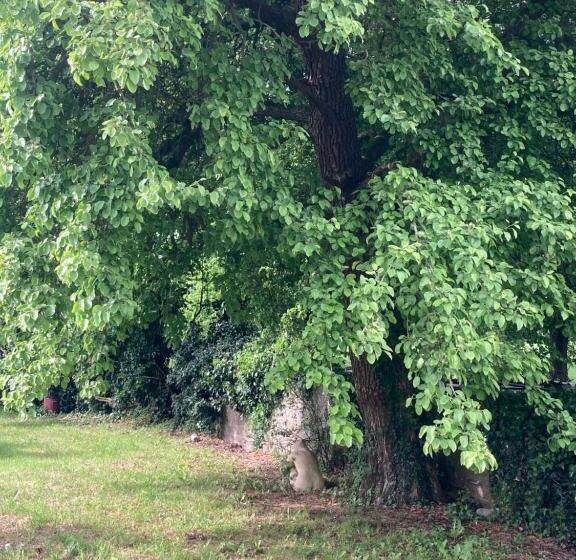 스탠다드 룸 킹사이즈 침대, Art House B & B