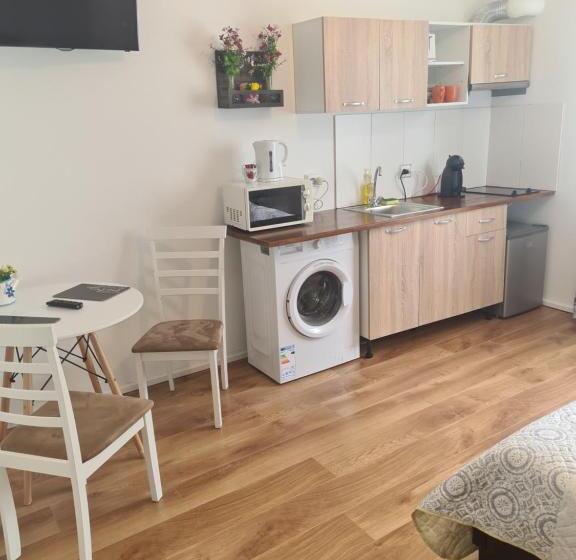 스탠다드 룸, Luca S Studio 2 ,close To Therme Bucharest, Airport Otopeni