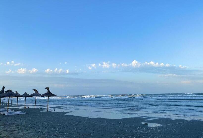 디럭스 스튜디오, Rohan Studio One