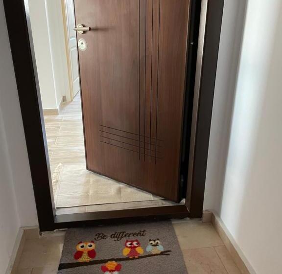 디럭스 스튜디오, Rohan Studio One