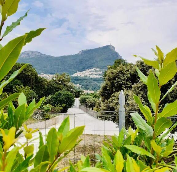 اتاق استاندارد, B&b Da Annamaria