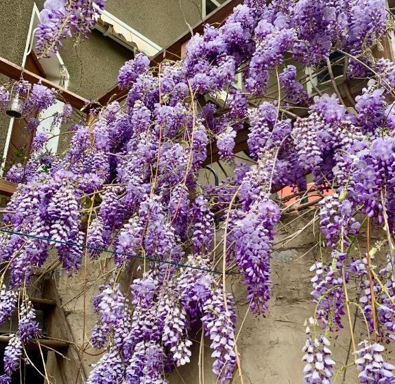 اتاق استاندارد با چشمانداز کوهستان, Château Du Vigny Maison D Hôtes