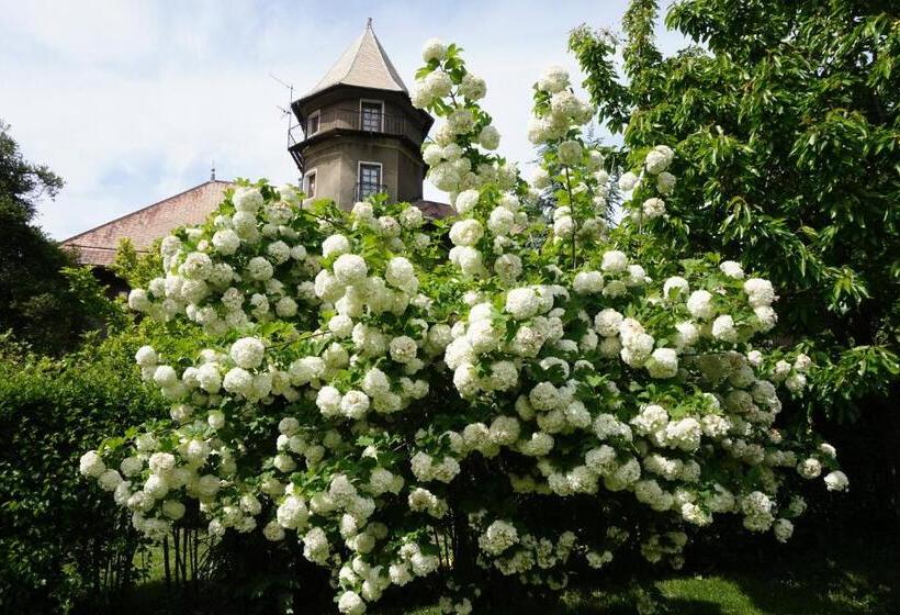 اتاق استاندارد با چشم‌انداز کوهستان, Château Du Vigny   Maison D Hôtes