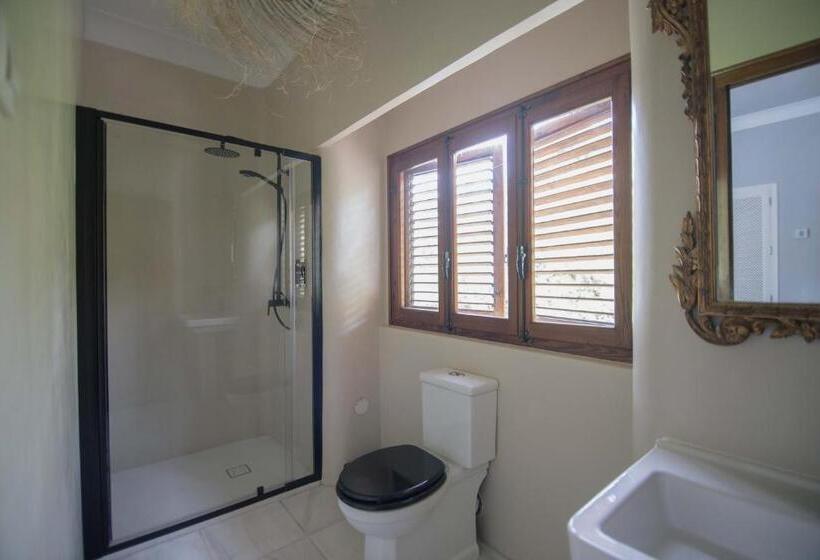 スタンダードルーム, Villa Dora