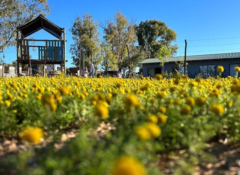 חדר משפחתי, Little Farms